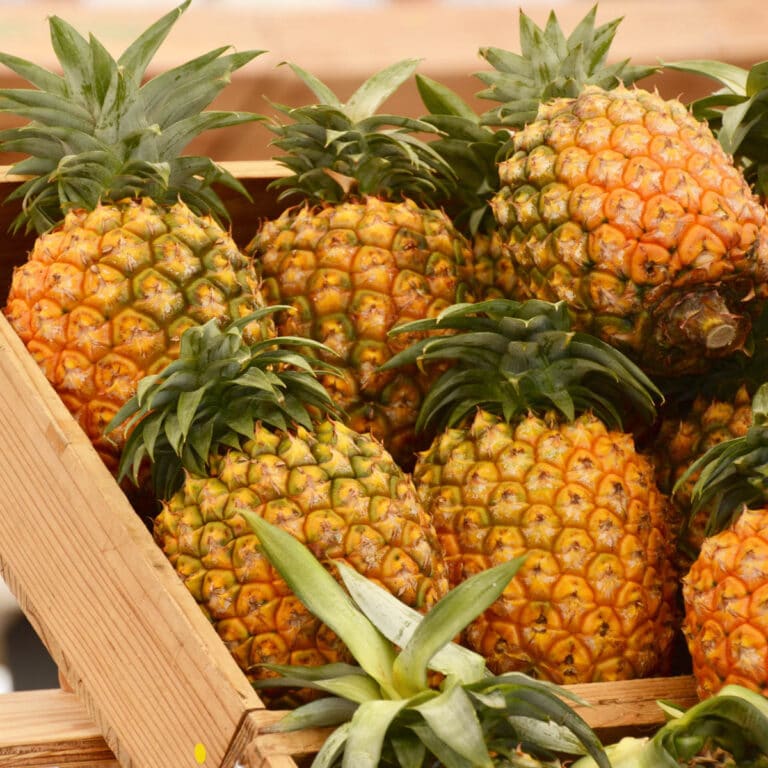 How to tell if a pineapple is ripe