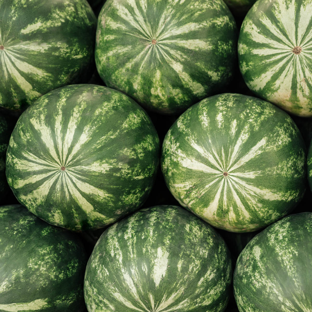 Bunch of whole watermelons stacked on top of each other.