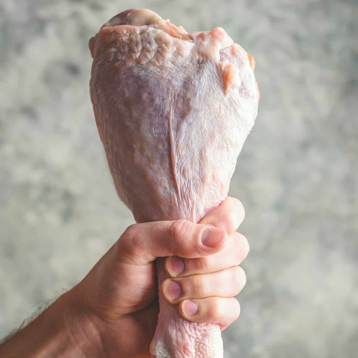 holding a turkey leg straight up