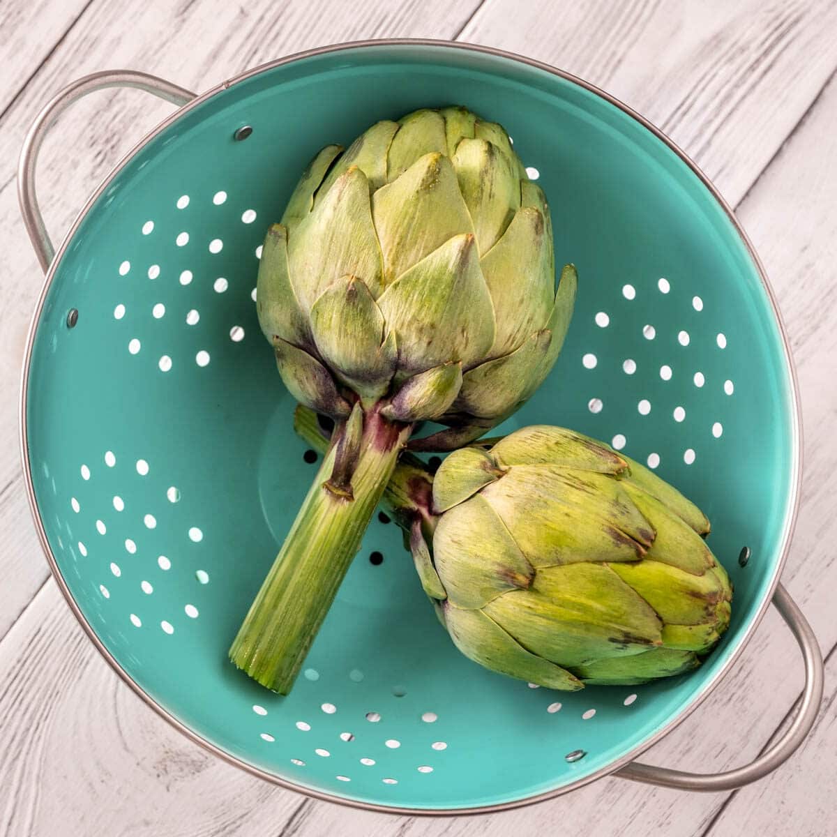 2 whole fresh artichokes in a teal colander.