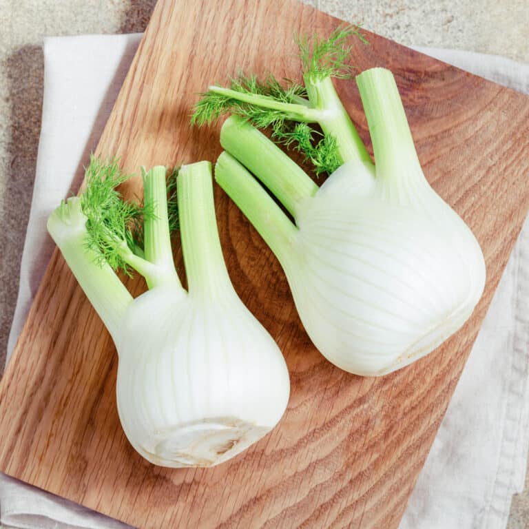 How to Store Fennel