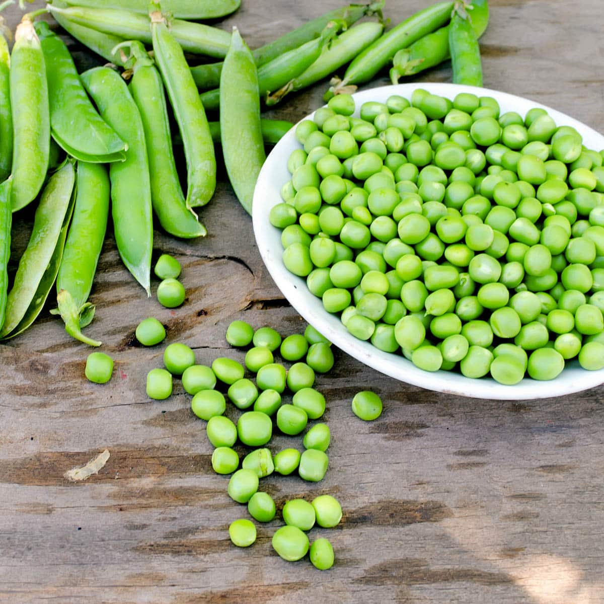 Bowl of fresh peas with a cluster of pea pods next to it.