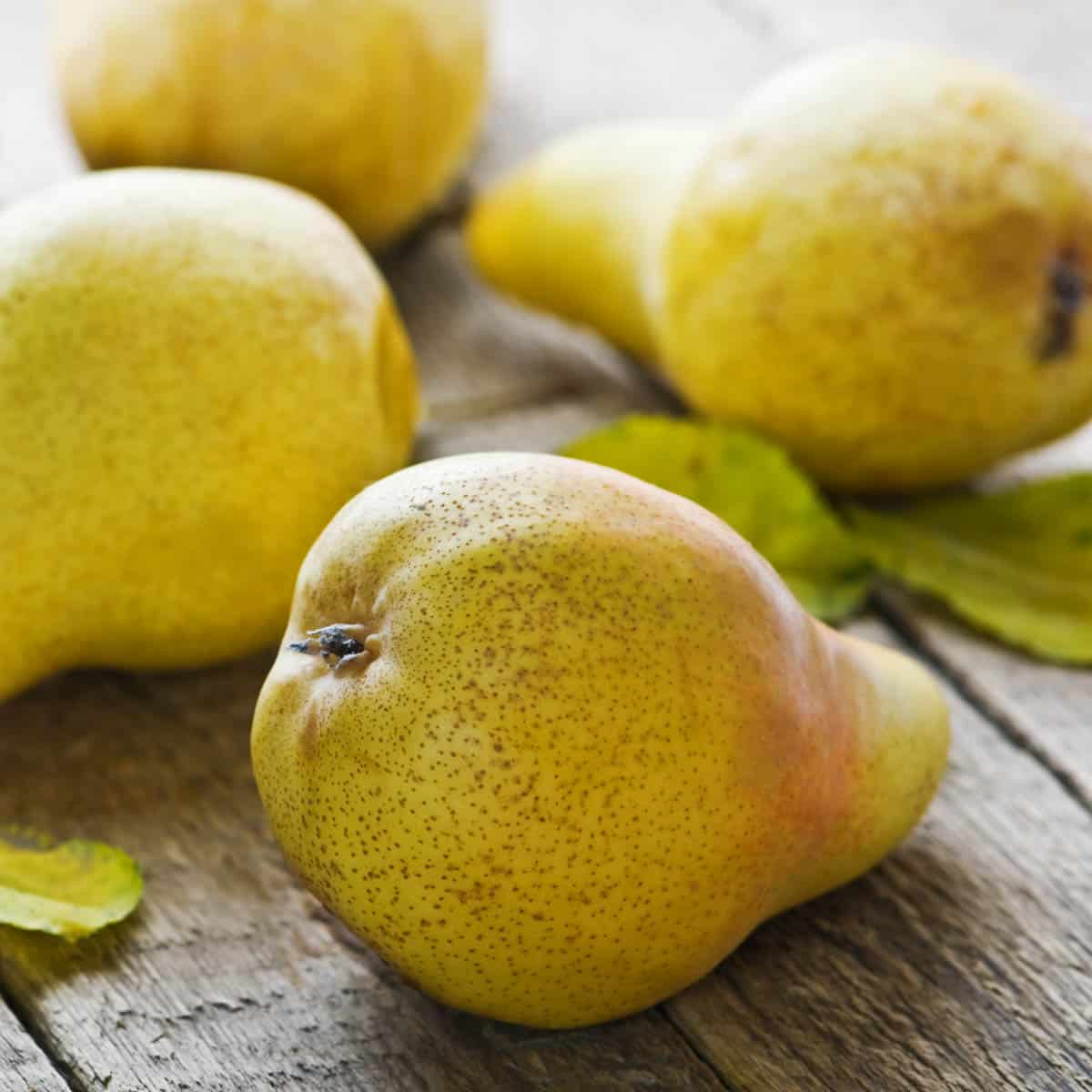 Fresh pears on a rustic wooden table