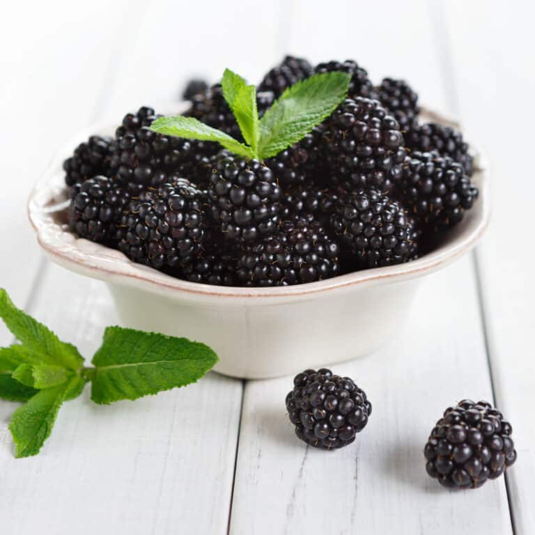 How to Tell if a Blackberry is Ripe